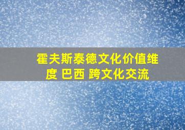 霍夫斯泰德文化价值维度 巴西 跨文化交流